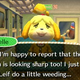 Illustration for article titled The Terror Of Returning To Animal Crossing After Nearly A Year